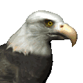 Avatar de Ojo de Aguila